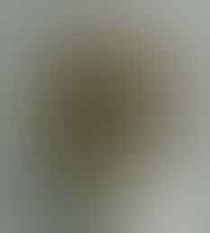 LELANG KAY_BRILIANT PERMATA SILVER, BO BANTEN, JAMRUD, AGATE, END 17 JUL 21.31