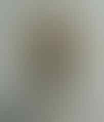 LELANG KAY_BRILIANT PERMATA SILVER, BO BANTEN, JAMRUD, AGATE, END 17 JUL 21.31