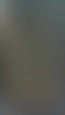 LELANG KAY_BRILIANT PERMATA SILVER, BO BANTEN, JAMRUD, AGATE, END 17 JUL 21.31