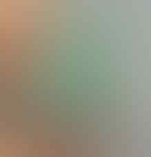 LELANG KAY_BRILIANT PERMATA, IRIS AGATE, NUCLEUS, PANDAN END 02 AGUST 21.31