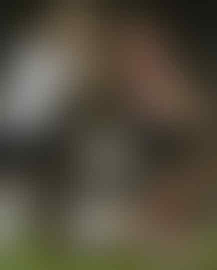 Dirty Eleven: Jika Sebuah Tim Diisi Pemain Paling 'Kotor' Sedunia