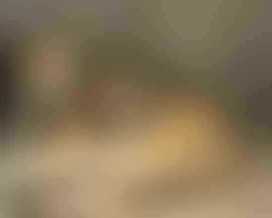 Kode-Kode Kucing Yang Sering Diabaikan