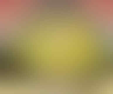 Apa Bedanya Lingkaran, Bulat, dan Bundar? Ini Penjelasannya