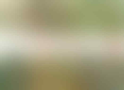 Narkoba Kembali Marak, Miris, Ini Artis Lokal Pemecah Rekor-nya