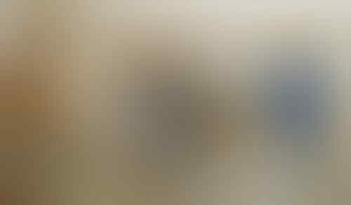 Bagaimana Rasanya Menghabiskan Setahun Hidup di Mars