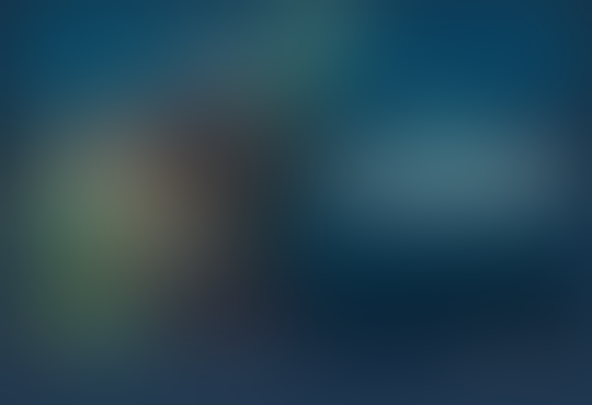 PALADINS | CHAMPIONS OF THE REALM |