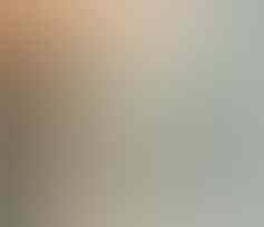 LELANG KAY_BRILIANT DIAMOND SILVER, PERMATA, MYSTIC, JAMRUD. END 8 OKT 21:31