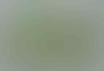 LELANG KAY_BRILIANT DIAMOND SILVER, PERMATA, MYSTIC, JAMRUD. END 8 OKT 21:31