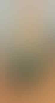LELANG KAY_BRILIANT DIAMOND, PERMATA, GIOK, PHANTOM. TTP 15 OKT 21:31