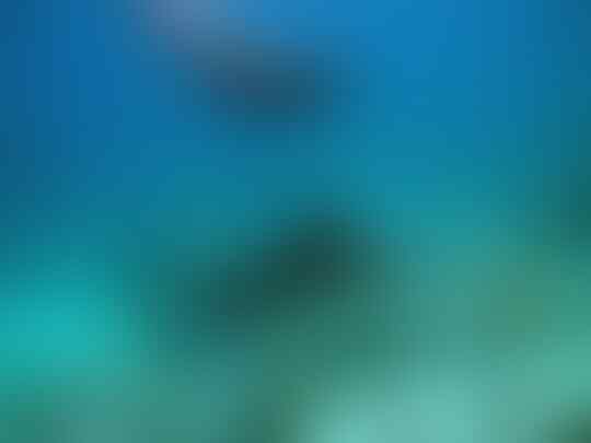 Kepulauan Derawan Punya Pesona yang Begitu Menggoda, Yakin Ga Pengen kesana?
