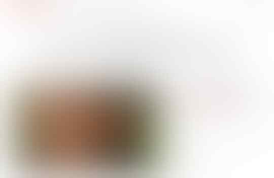 Duel Petisi Buat Buni Yani, Gimana Menurut Agan?