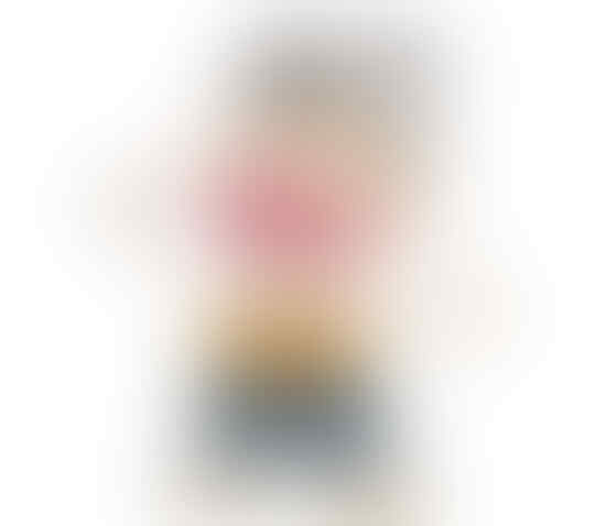 Mengungkap Pekerjaan Sebenernya Dari Para Ayah di Serial Kartun Jepang