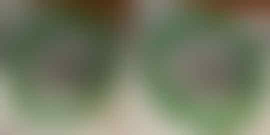 LELANG YULIESALWA #46 A LITTLE PEACE OF HEAVEN CLSD 7DEC