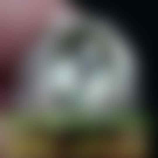 (LELANG KELAS KAKAP) OB 0 BARANG HQ DIUMBAR KARENA BU SD 15 01 17