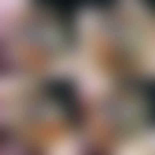 (LELANG KELAS KAKAP) OB 0 BARANG HQ DIUMBAR KARENA BU SD 15 01 17