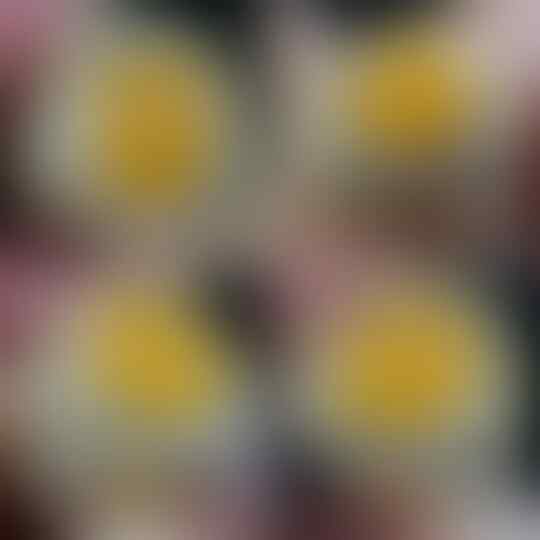 (LELANG KELAS KAKAP) OB 0 BARANG HQ DIUMBAR KARENA BU SD 15 01 17
