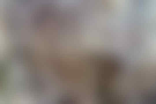 Perang Dunia II: Apakah Dunia Berutang pada Soviet?