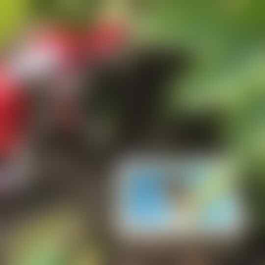 Inilah Yang Dilakukan Ultraman Setelah Pensiun Gan...