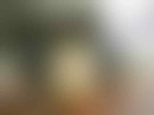 Bukan Hanya Kartini, Ini 5 Hal Menarik tentang Jepara