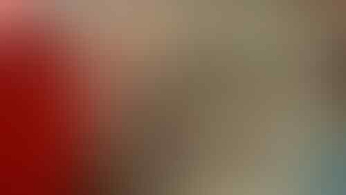 Ini Dia Petugas Oranye yang Menangkap Ular Sanca di Pasar Minggu