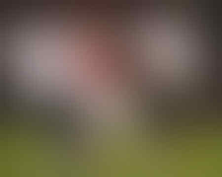 10 Duet Ikonik di Dunia Sepakbola, Dari Raul - Morientes Hingga Maldini - Nesta
