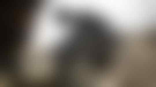 Perbedaan antara Sniper dan Penembak Jitu