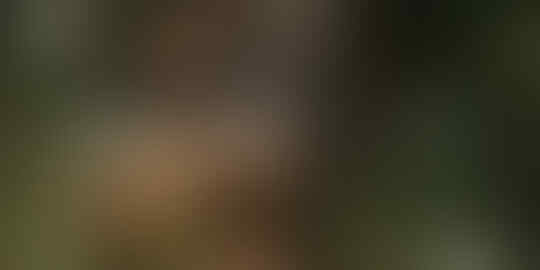 Perbedaan antara Sniper dan Penembak Jitu