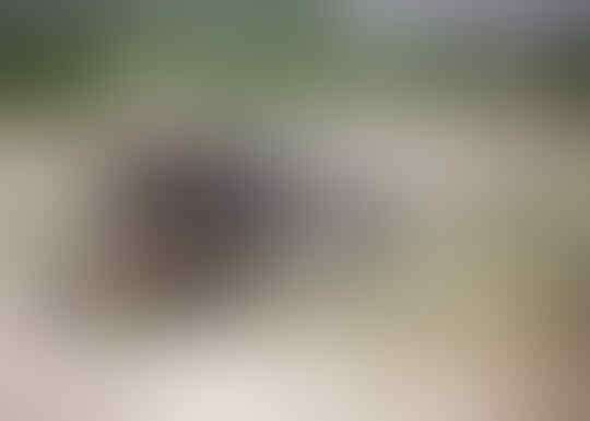 Perbedaan antara Sniper dan Penembak Jitu