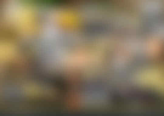 PELUANG USAHA BARU, WAJIB di check gan.