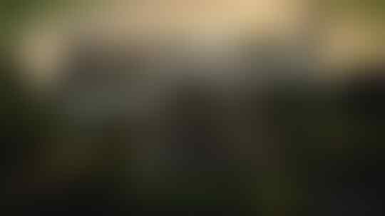 8 Kebohongan yang Sering Dilakukan Gamer