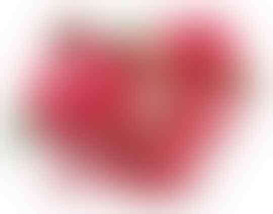 Ini Dia 8 Buah Tersehat di Dunia