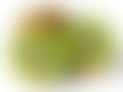 Ini Dia 8 Buah Tersehat di Dunia