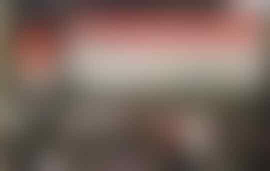 800 Ribu Akun Terkait Saracen, Grup Jasa Ujaran Kebencian
