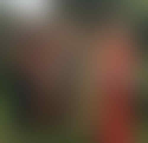 Perhatikan! Ada yang Salah Sama Foto Sista yang Mau Prom Night Ini