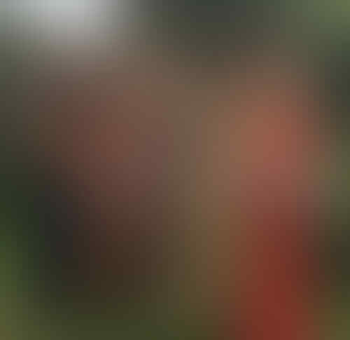 Perhatikan! Ada yang Salah Sama Foto Sista yang Mau Prom Night Ini