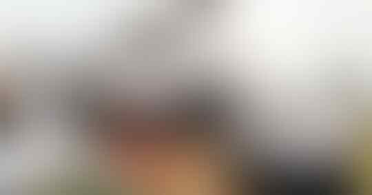 Potret Kehidupan Orang Jepang Dan Kesulitan Yang Mereka Hadapi