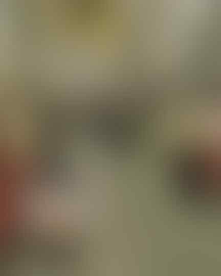 Potret Kehidupan Orang Jepang Dan Kesulitan Yang Mereka Hadapi