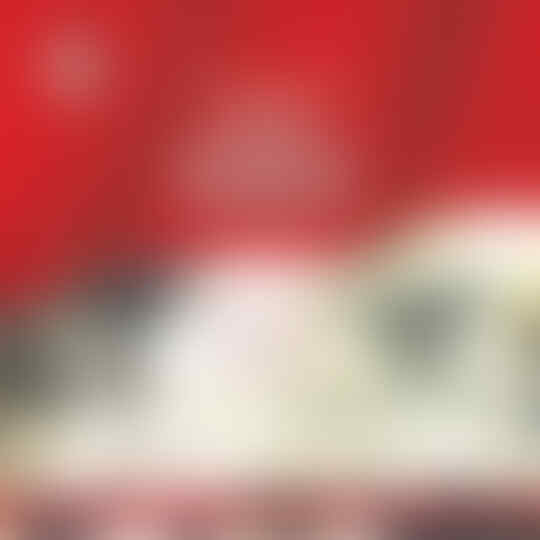 Heboh: Hanna Annisa Menerobos Puncak UU Ormas Sumpah Pemuda