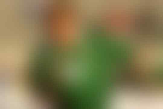 Inilah Alasan Kenapa Jersey Bola Tetap Dicintai dari Masa ke Masa