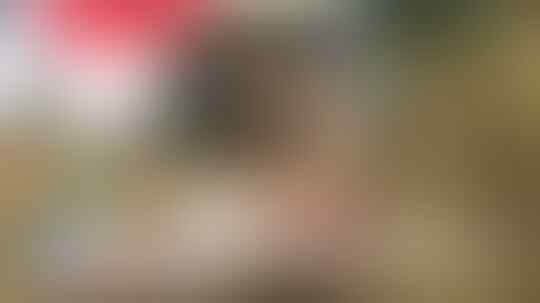 Para Pendaki yang Menginspirasi