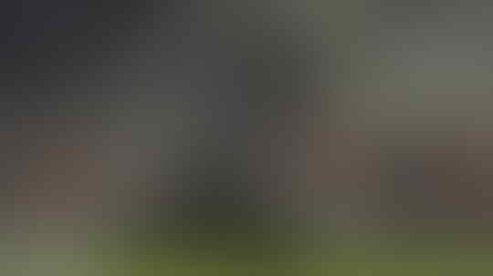 Kapan Dewasa, Suporter Sepak Bola Indonesia?