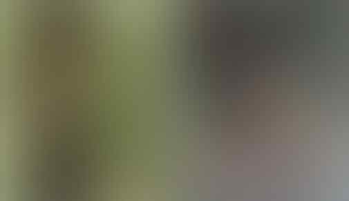 Foto langka dan jadul potret kehidupan Suku Dayak di Borneo, keren!