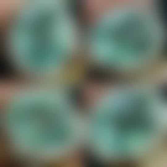 Lelang Menjelang Natal Dan Tahun Baru OB Terjangkau Boss Sd 21 12 17 (21:22)