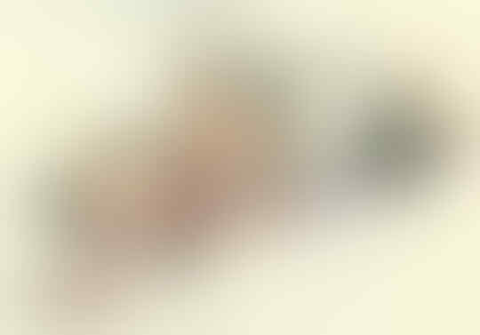 Pria ini Mengilustrasikan Dirinya saat Pergi ke Kanada untuk Menemui Pacar Jarak Jauh