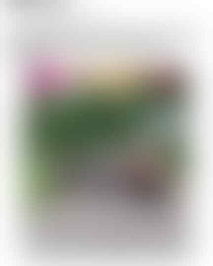 Kocak! 15 Update Status Facebook Kids Zaman Now Ini Dijamin Bikin Kamu Geleng-Geleng
