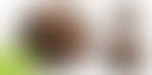 Inikah Nama-Nama Android Berikutnya, Adakah Favoritmu?