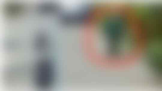 Iseng Cari Alamat, Warganet Temukan Sosok Tak Terduga di Google Street View