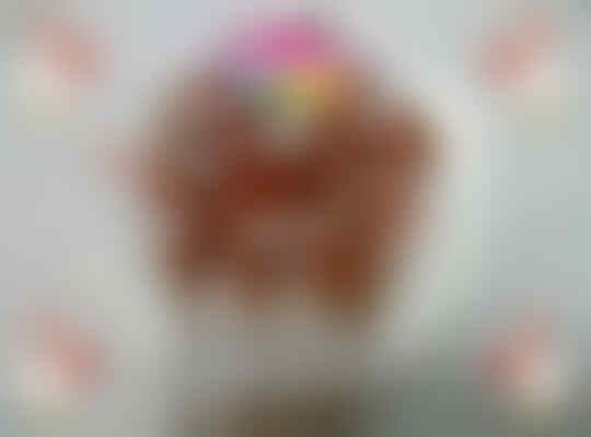 Peluang Usaha Rizgin Sempol Ayam