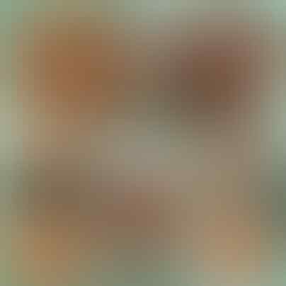 Peluang Usaha Rizgin Sempol Ayam