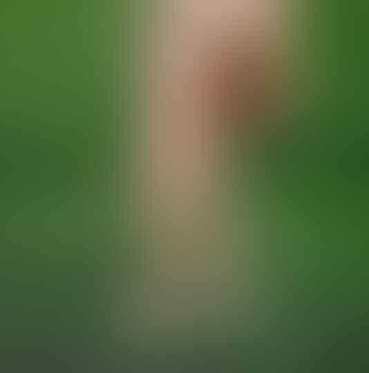 Foto Gabungan Berikut ini Akan membuatmu Gagal Paham, dan Berpikir "Oh iya ya"
